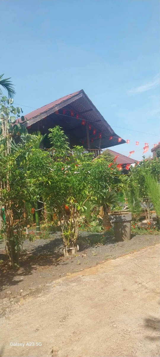 Bán nhà vườn 2957m2 đang kinh doanh homestay Buôn Ma Thuột 13.9 tỷ - Ảnh thu nhỏ 4