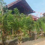 Bán nhà vườn 2957m2 đang kinh doanh homestay Buôn Ma Thuột 13.9 tỷ - Ảnh thu nhỏ 4