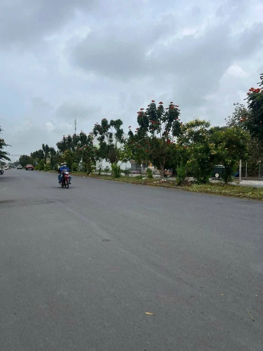 Bán nhà Bến Lức Long An 96m² giá 2,9 tỷ - Ảnh thu nhỏ 4