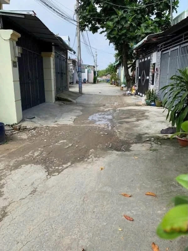 Bán nhà 1 lầu 168m2 hẻm 5m Thới Tam Thôn, Hóc Môn, giá 4,5 tỷ - Ảnh thu nhỏ 5