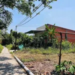Bán đất thổ cư 5x20m hẻm Huỳnh Châu Sổ, phường Tân An, Tây Ninh giá 560 triệu - Ảnh thu nhỏ 3