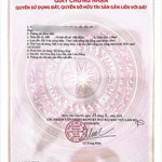 Bán đất Nam Ban ven Đà Lạt 174m² 599 triệu - Ảnh thu nhỏ 2