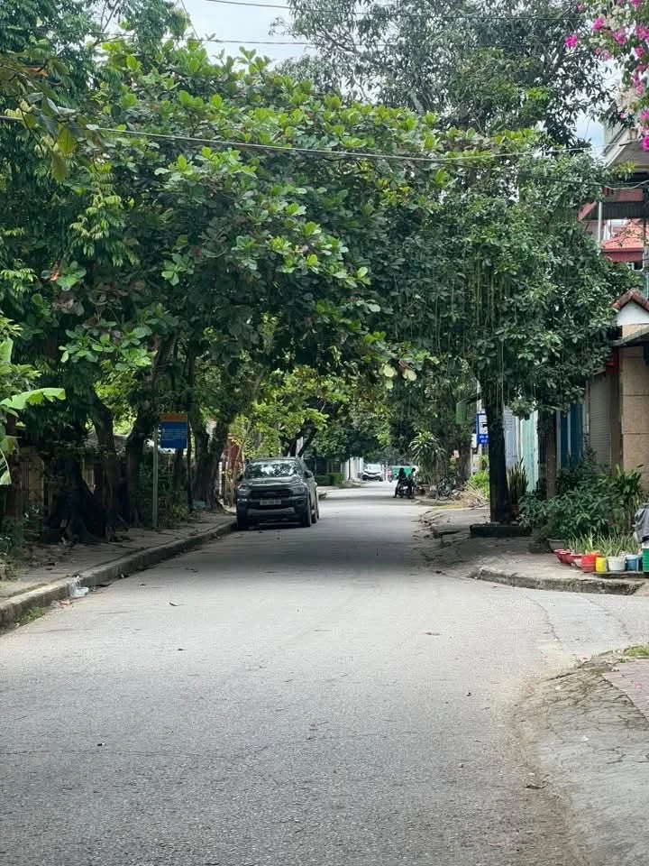 Bán nhà đất 98.4m² Phường Thanh Bình, vừa ở vừa kinh doanh - Ảnh thu nhỏ 3