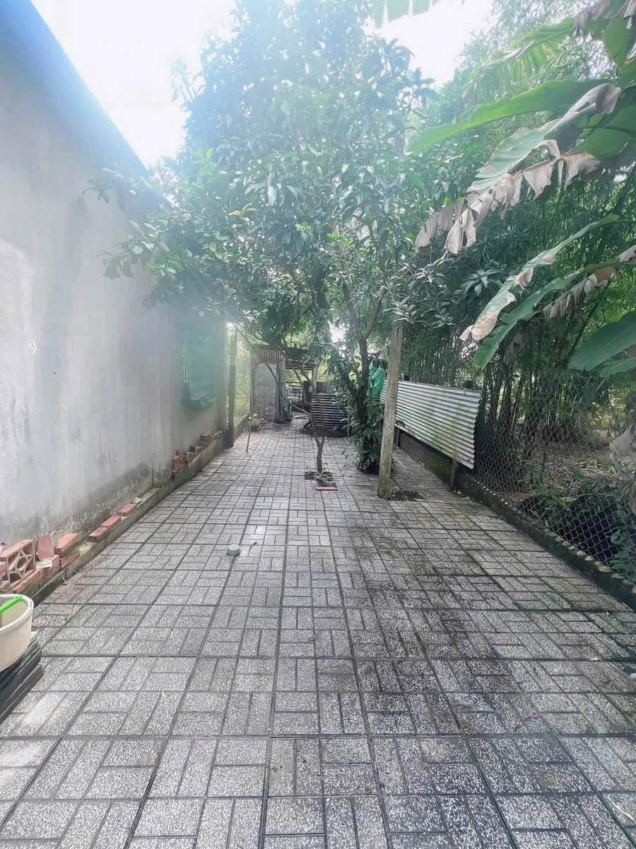 Bán nhà 2 phòng ngủ 124m² Tây Ninh 939 triệu - Ảnh thu nhỏ 5