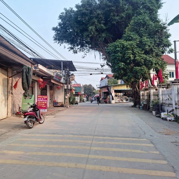 Bán đất thổ cư 83,5m² Vệ Sơn, Sóc Sơn, Hà Nội 1,9 tỷ