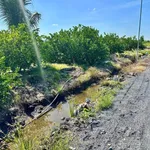 Bán đất vườn 500m2 giá 420 triệu tại Thạnh Hòa, Bến Lức, Long An (nay Tây Ninh) - Ảnh thu nhỏ 2