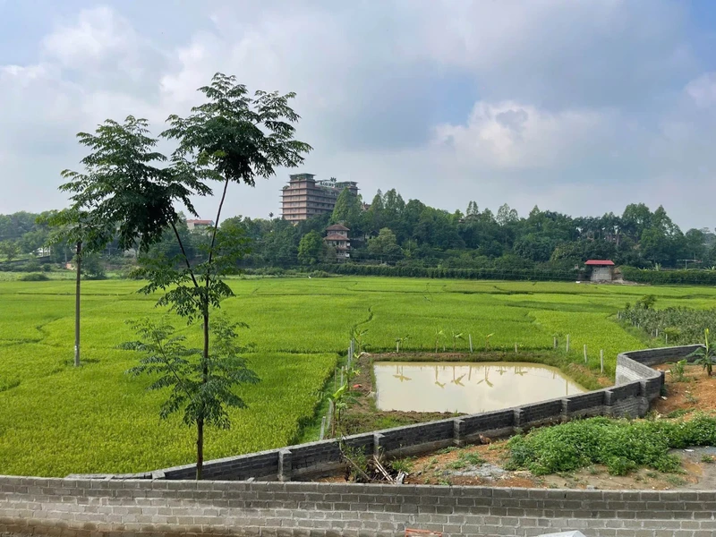 Bán đất 90m2 nghỉ dưỡng Lương Sơn Hòa Bình giá 3 tỷ
