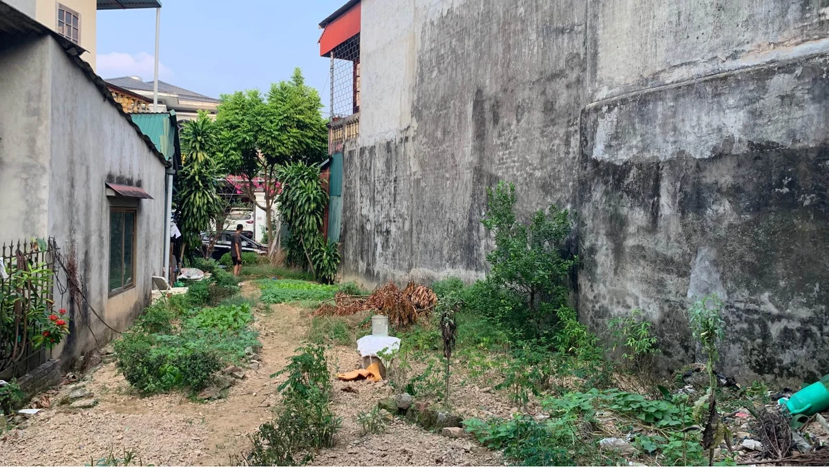 Bán đất 500m2 mặt đường Nguyễn Khắc Nhu 2.4 tỷ - Ảnh thu nhỏ 2