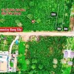 Bán đất Di Linh Lâm Đồng 412m², 849 triệu - Ảnh thu nhỏ 4