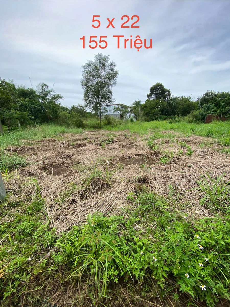 Bán đất 110m² giá 155 triệu Long Khánh - Ảnh thu nhỏ 2