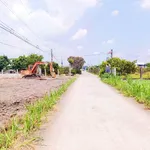 Bán đất thổ cư 160m2 đường Nguyễn Văn Thọ, Tân Trụ, Long An giá 590 triệu - Ảnh thu nhỏ 1