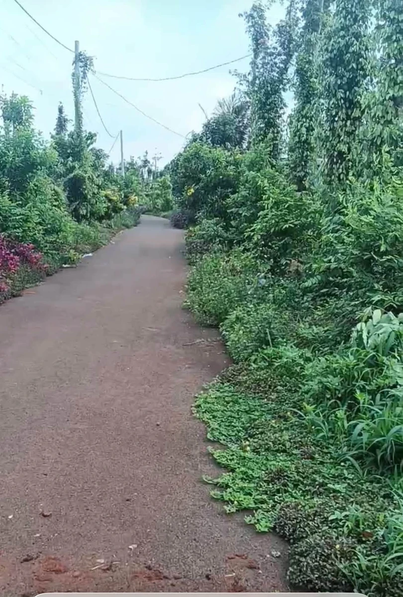 Bán đất 150m2 mặt tiền Kim Long, Nhà Bè - 4.9 tỷ - Ảnh 1