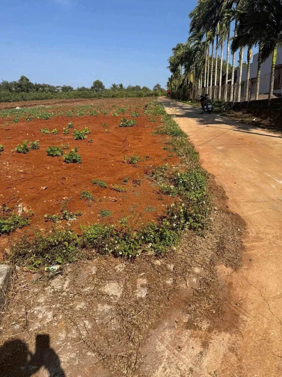 Bán đất 52x150m Đắk Lắk, 380 triệu - Ảnh 1