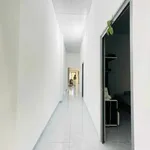 Bán nhà 2 phòng ngủ Tân Hưng Bàu Bàng 1 tỷ 6 - Ảnh thu nhỏ 1