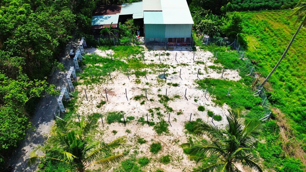 Bán 4 lô đất Giồng Cà, Bình Minh, 140m2, 199 triệu - Ảnh thu nhỏ 4