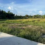Bán đất thổ cư Thanh Phú Long 115m² giá 250 triệu - Ảnh thu nhỏ 3