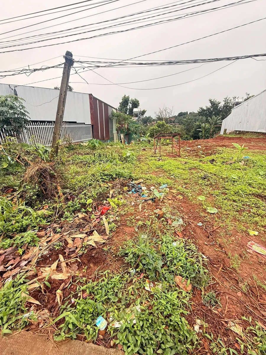Bán đất nông nghiệp 300m² Nam Gia Nghĩa, Cần Giờ - Ảnh thu nhỏ 2