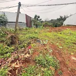 Bán đất nông nghiệp 300m² Nam Gia Nghĩa, Cần Giờ - Ảnh thu nhỏ 2