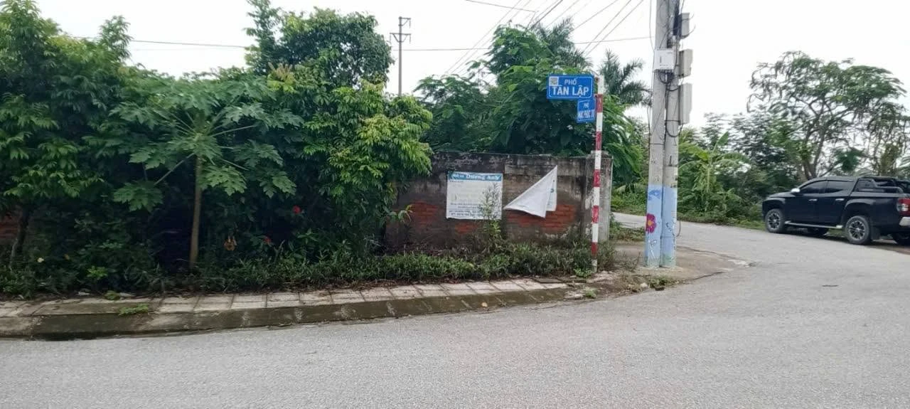 Bán mảnh vườn đất 3.000m² mặt đường Tân Thành Đồ Sơn 7.5 tỷ - Ảnh 1