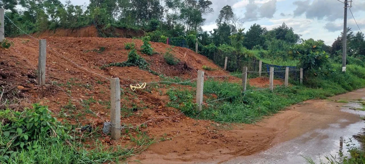 Bán đất xây nhà vườn 468m2 view cánh đồng Xã Hòa Phú - Ảnh 1