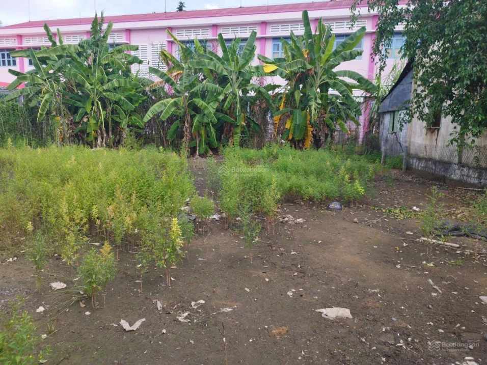 Đất đẹp giá tốt chính chủ cần bán tại đường Cây Khoa, Tân Khánh Đông, Sa Đéc, Đồng Tháp - Ảnh thu nhỏ 2