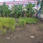 Đất đẹp giá tốt chính chủ cần bán tại đường Cây Khoa, Tân Khánh Đông, Sa Đéc, Đồng Tháp - Ảnh thu nhỏ 2