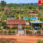 Bán đất làm nhà vườn hoặc kho 1.155m² Bình Chánh - Ảnh thu nhỏ 4