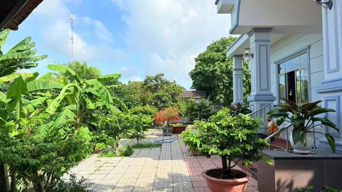 Bán nhà vườn mái Thái 3.869m² Long Phước Bà Rịa, 12.5 tỷ - Ảnh thu nhỏ 5