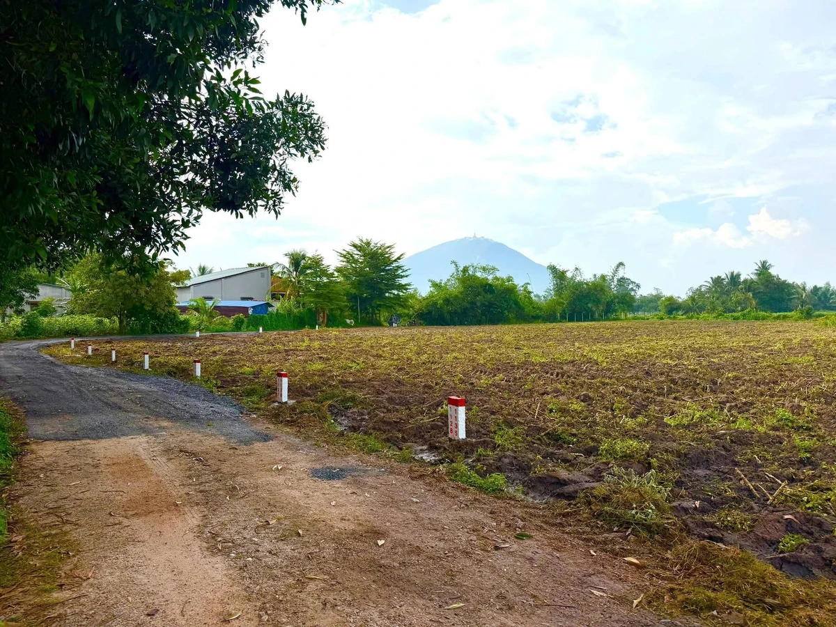 Bán đất thổ cư 5x112m (560m²) Tây Ninh - Sổ sẵn 280 triệu - Ảnh 1