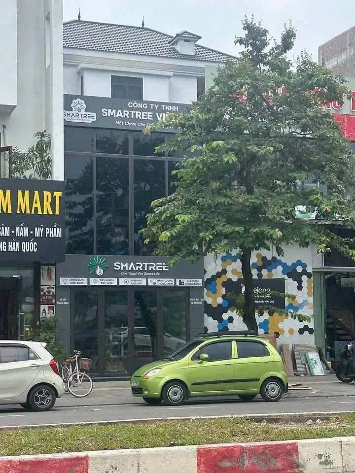 Bán đất mặt đường Thanh Niên, Hải Dương, 80m2 - Ảnh thu nhỏ 2