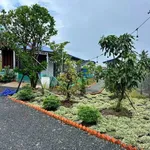 Bán nhà vườn 1000m2 giá 1,15 tỷ tại Long An - Ảnh thu nhỏ 5