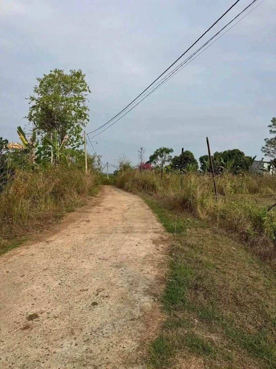 Bán đất 100m² mặt tiền Lộc Điền 1,2 tỷ - Ảnh thu nhỏ 2