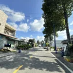 Chính chủ gửi bán đất 100m2 khu trung tâm gần khu đô thị Green City, Midori Park, siêu thị Aeon Mal - Ảnh thu nhỏ 14