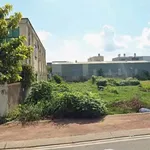 Bán đất mặt tiền Tô Vĩnh Diện 504m² Bình Chánh - Ảnh thu nhỏ 4
