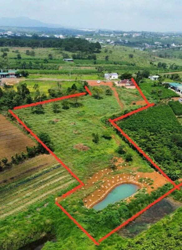Bán đất mặt tiền Lý Thái Tổ 7.806m² Bảo Lộc 9,5 tỷ