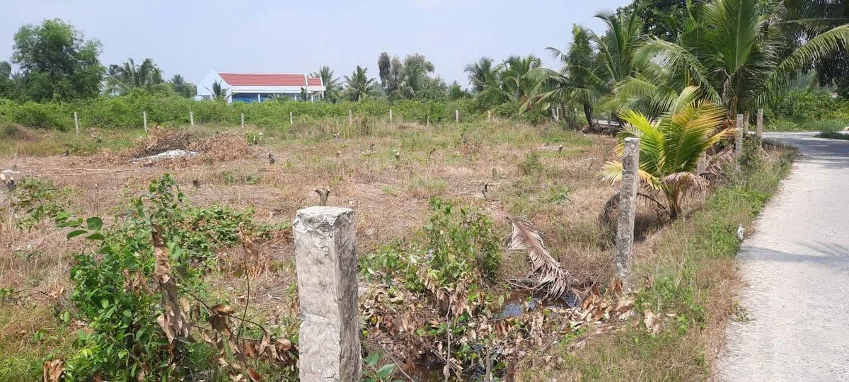 Bán đất vườn 2500 m² Lương Hòa, Bến Lức, Long An - Ảnh thu nhỏ 4
