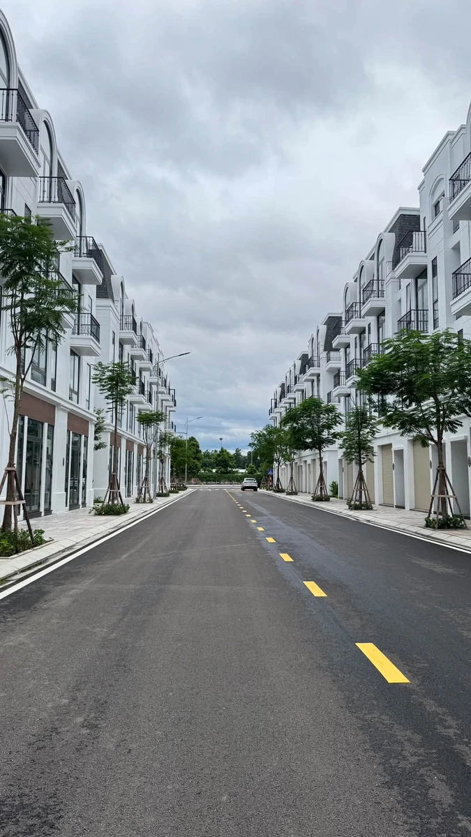 Bán nhà liền kề Vlasta Thủy Nguyên 246,66m² giá 4,912 tỷ - Ảnh thu nhỏ 3