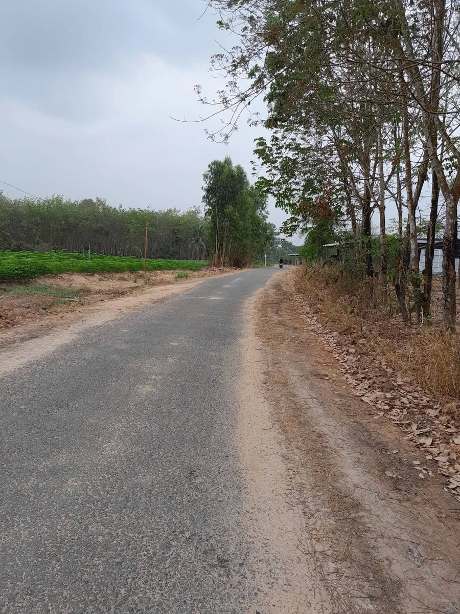 Bán 2 công đất mặt tiền đường Phước Vinh 398 triệu - Ảnh 1
