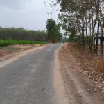Bán 2 công đất mặt tiền đường Phước Vinh 398 triệu - Ảnh thu nhỏ 1