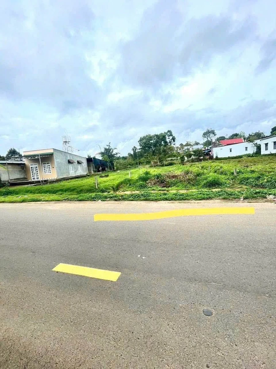 Bán đất mặt tiền Triệu Quang Phục, Lạc Bảo, 430m² - Ảnh 1