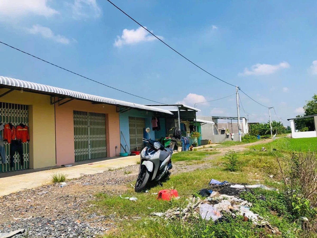 Bán đất Xã Hậu Nghĩa Nhà Bè 496m2 SHR 1 tỷ 4 - Ảnh thu nhỏ 4