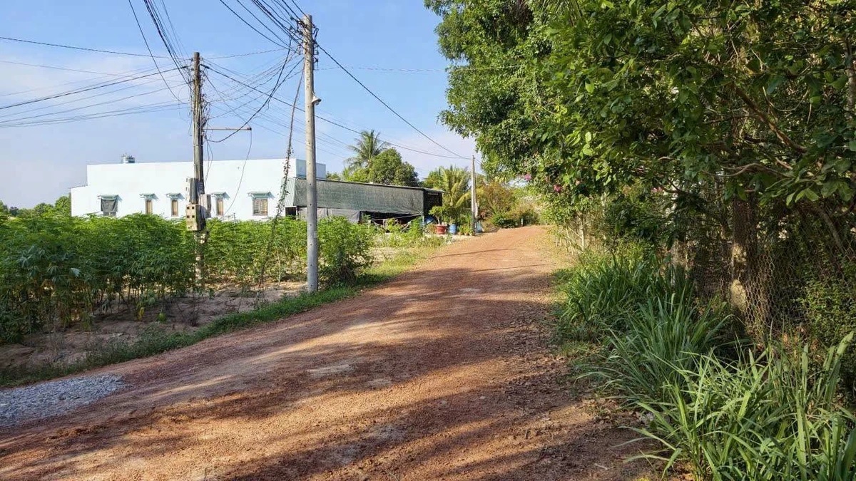 Bán đất nền 150m² An Cơ, Châu Thành, Tây Ninh, giá 119 triệu - Ảnh thu nhỏ 3