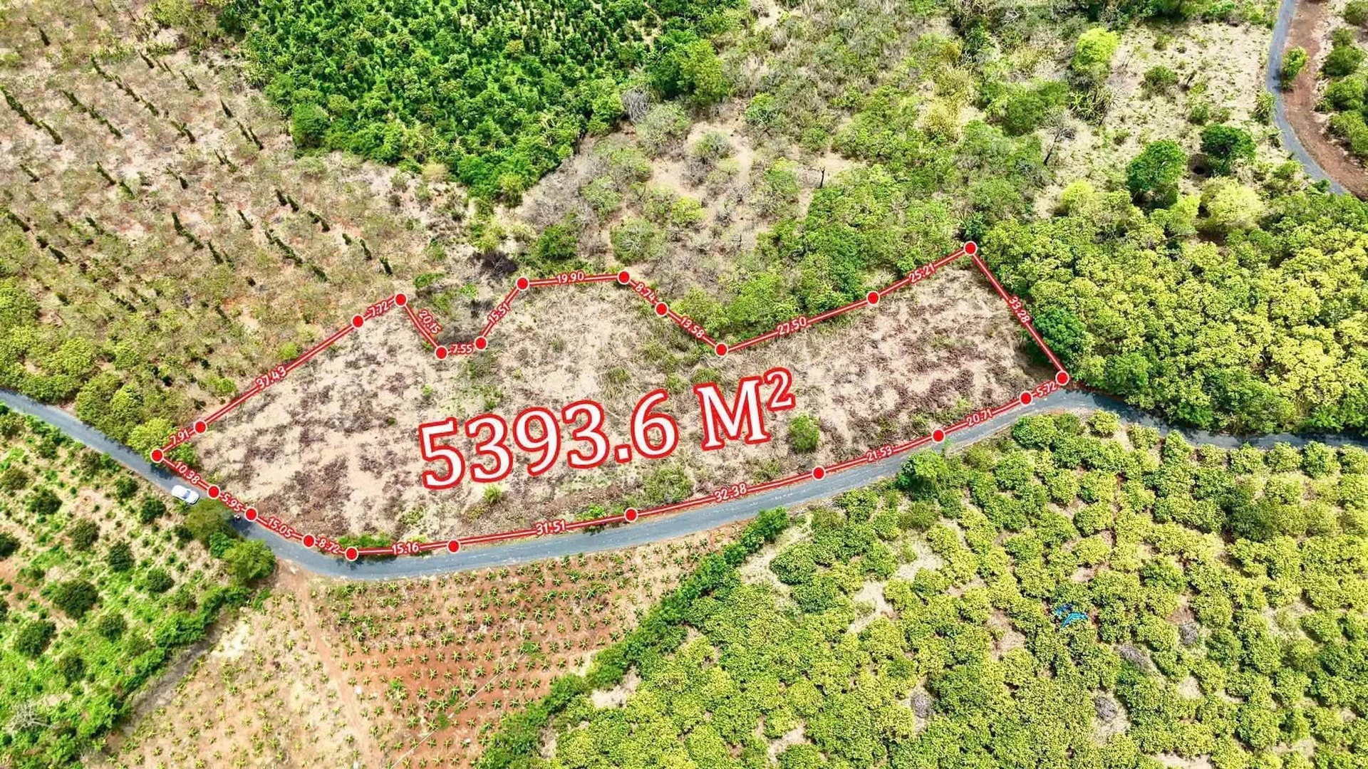 Bán đất 5.393 m2 mặt tiền 167m Đắk Lắk - Ảnh 1
