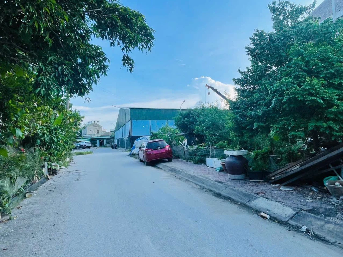 Bán đất Bình Tân 130,7m2 mặt tiền 12,5m, 6 tỷ 7 - Ảnh thu nhỏ 3