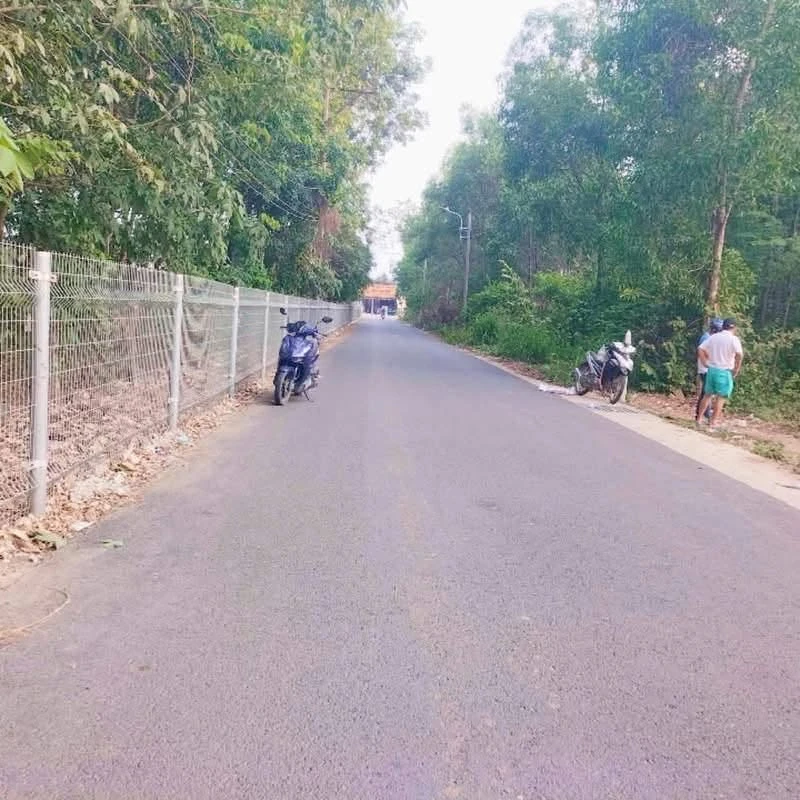 Bán lô đất 5x35x60m Phú An, Bình Chánh 1 tỷ 550 - Ảnh 1