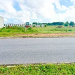 Bán đất 5x25m Thanh An 2, Bình Chánh, 970 triệu - Ảnh thu nhỏ 2