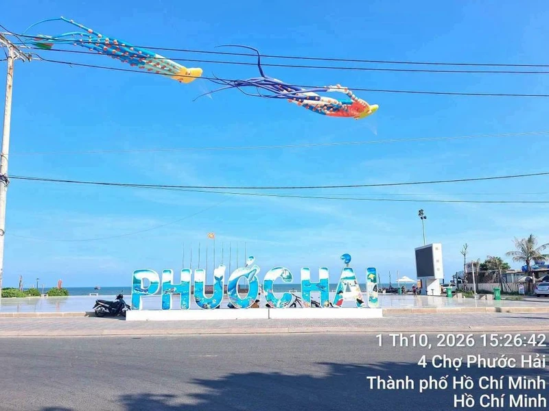 Bán đất Phước Hải 6066m2, mặt tiền 166m, gần biển