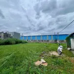 Bán đất thổ cư 200m2 xã Hàm Mỹ Cũ, Lâm Đồng - 1 tỷ - Ảnh thu nhỏ 2