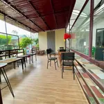 Cho thuê mặt bằng 250m2 6 phòng tại Đà Lạt 19 triệu/tháng - Ảnh thu nhỏ 1