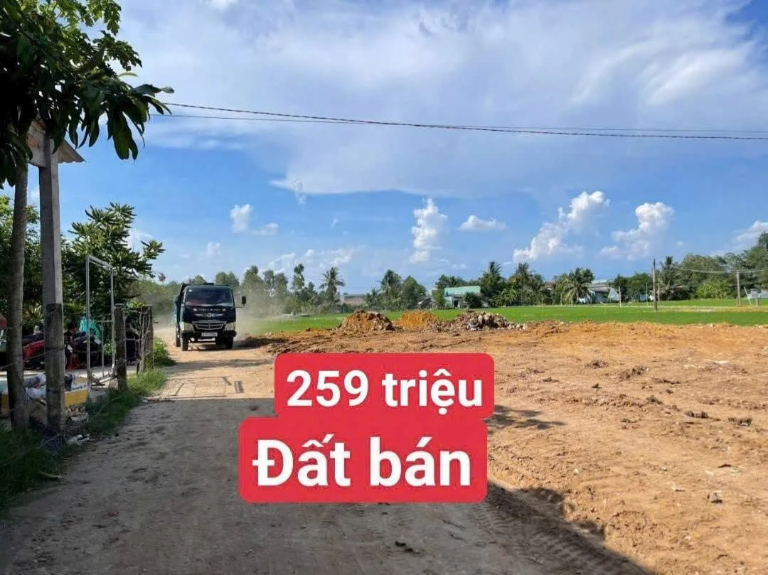 Bán đất Đức Tân Tân Phú 82.5m² giá 259 triệu - Ảnh thu nhỏ 4